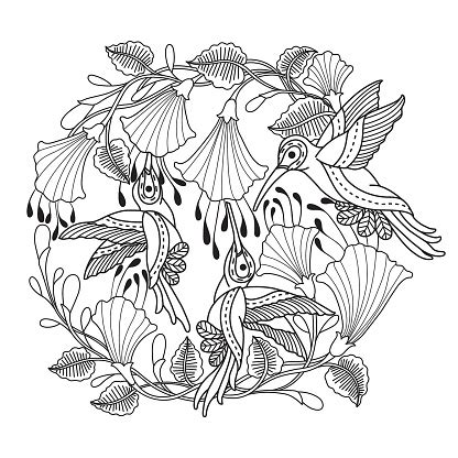 Download Hand Drawn Hummingbirds And Flower For Adult Coloring Page ...