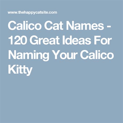 Calico Cat Names 250 Great Ideas For Naming Your Calico