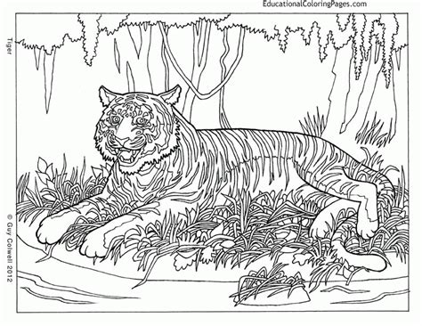 Difficult Animal Coloring Pages Coloring Home