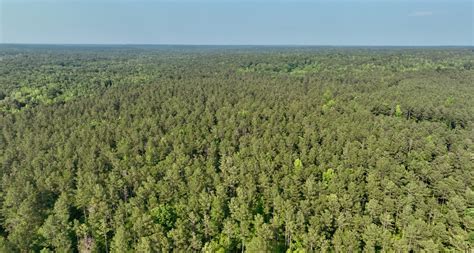 Goldmine Plantation | Brown Land + Plantation Advisors