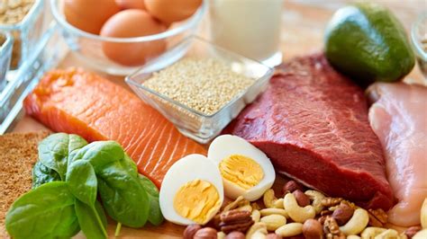 Todo lo que debes saber sobre la proteína la dieta proteica los