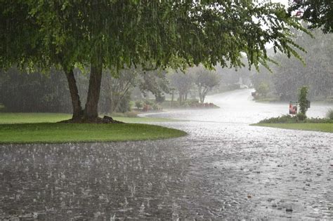 How Heavy Rainfall Can Affect Your Plumbing Millers Services