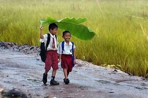Friends Or Siblings Helping Each Other Keep Dry With A Leaf Life