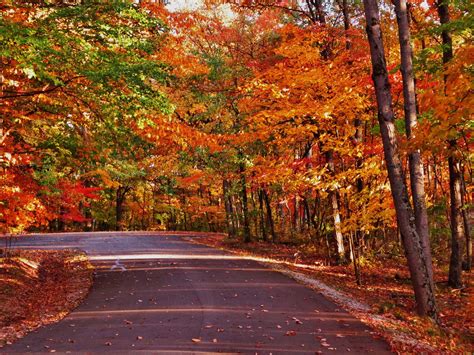 Fall Drive Through Indiana To See The Autumn Foliage