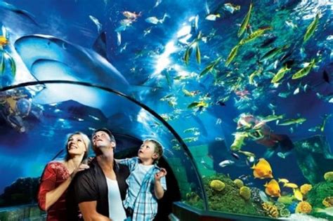 Legoland Malaysia To Expand With New Sea Life Aquarium Australasian