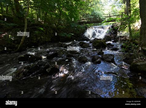 Creek Stock Photo, Royalty Free Image: 13346914 - Alamy