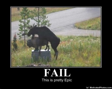 Really Funny Pictures Funny Epic Fails