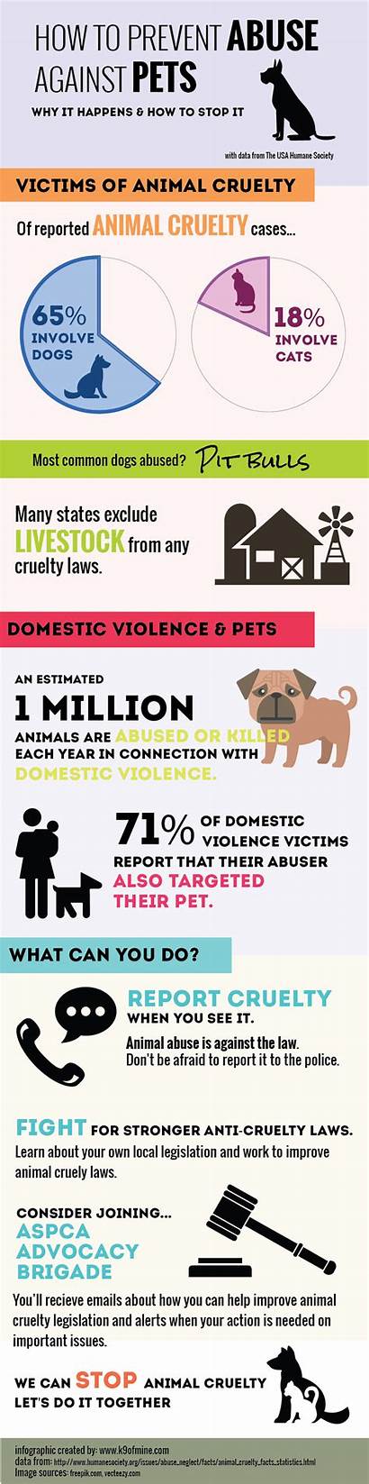Abuse Animal Prevent Pet Stop Infographic Facts