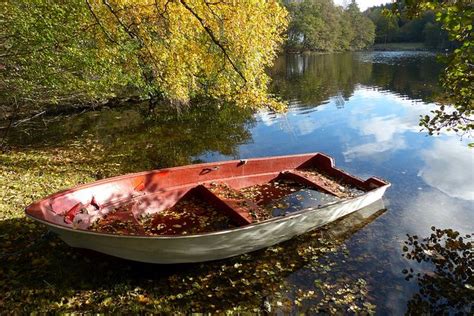 Autumn Leaves Float Your Boat Boat Water