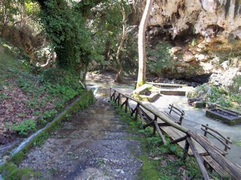Βρες τα καλύτερα συνεργεία αυτοκινήτων σε ρέθυμνο, κατηγοριοποιημένα ανά μάρκα αυτοκινήτου, για να λύσεις κάθε πρόβλημα με το αυτοκινητό σου, είτε. ΕΚΔΡΟΜΗ ΣΤΟ ΦΑΡΑΓΓΙ ΤΟΥ ΑΓΙΟΥ ΑΝΤΩΝΙΟΥ - ΠΑΤΣΟΥ ΣΤΟ ...