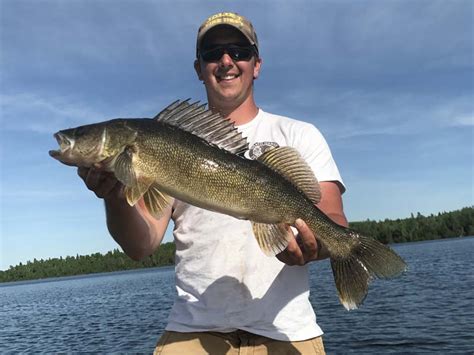 Any recommendations on the best time of year to come, and the best areas basically, my husband just has whim to catch northern pike or muskie and said. Walleye | Northern Pike | Muskie | Fishing Trips ...