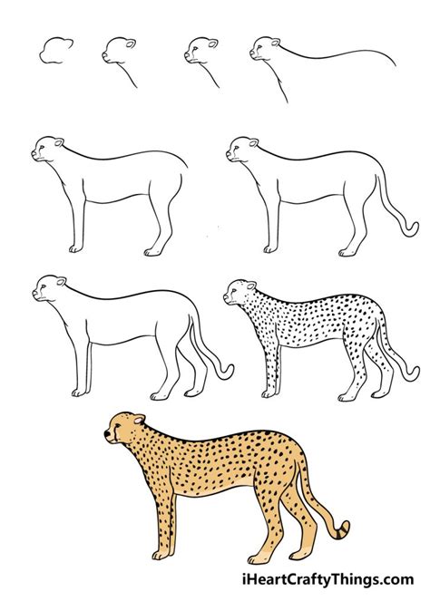 Https://tommynaija.com/draw/how To Draw A Cheetah