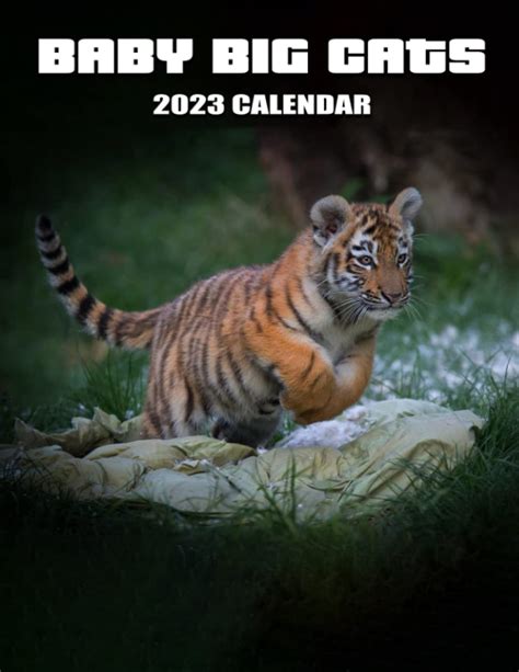 A Photo Book Of Baby Big Cats Baby Big Cats 2023 Calendar Bonus 4