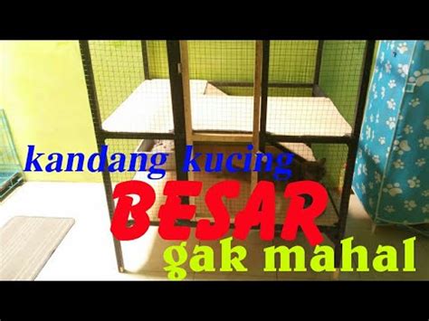 Kamu yang pelihara kucing di rumah, mau coba membuatnya? Desain Rumah Kucing Besar