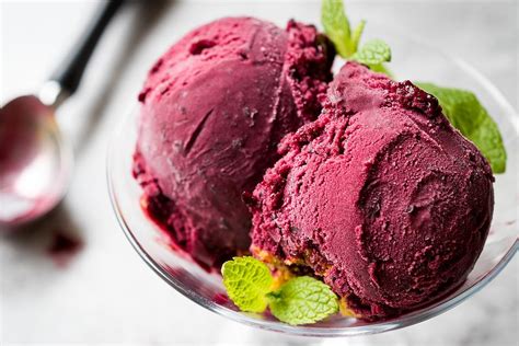 2 Ingredient Blueberry Sorbet Recipe This Berry Sorbet Recipe Will Be