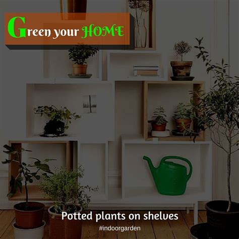 Pin On Green Your Home