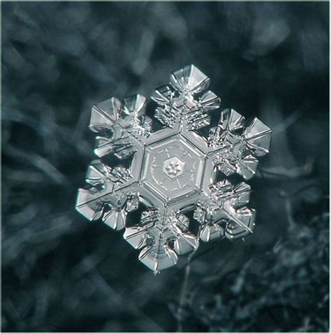 Unique And Beautiful Snowflakes 49 Pics