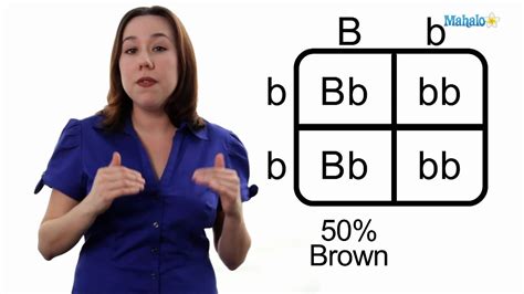 It is named after reginald c. Learn Biology: How to Draw a Punnett Square - YouTube