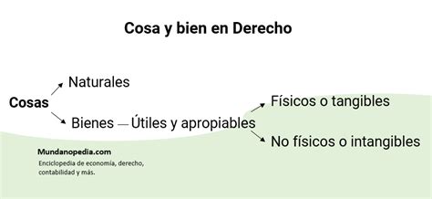 Objeto De Derecho Cosa Bien Diferencias Y Ejemplos