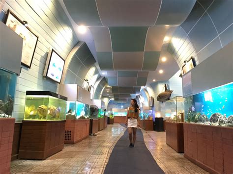 Báo điện tử giao thông mới nhất ngày hôm nay, tin tức chính thống nóng nhất. Viện Hải dương học Nha Trang - Kho tàng sinh vật biển lớn nhất Việt Nam