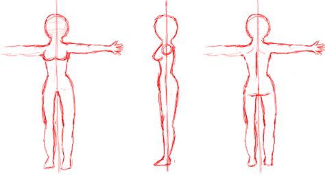 Body Drawing Reference Free Download On Clipartmag