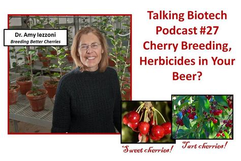 Talking Biotech Amy Iezzoni Talks Tart Cherry Genetic Origins Kevin Folta Answers Glyphosate