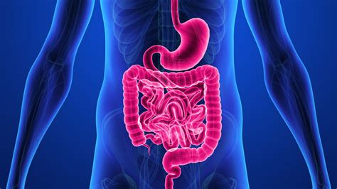 The Dangers Of Untreated Crohns Disease Everyday Health