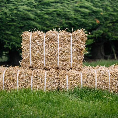 How To Use Party Bales For Your Event Baled