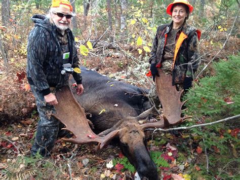 Maine Moose Hunting Blackwater Outfitters