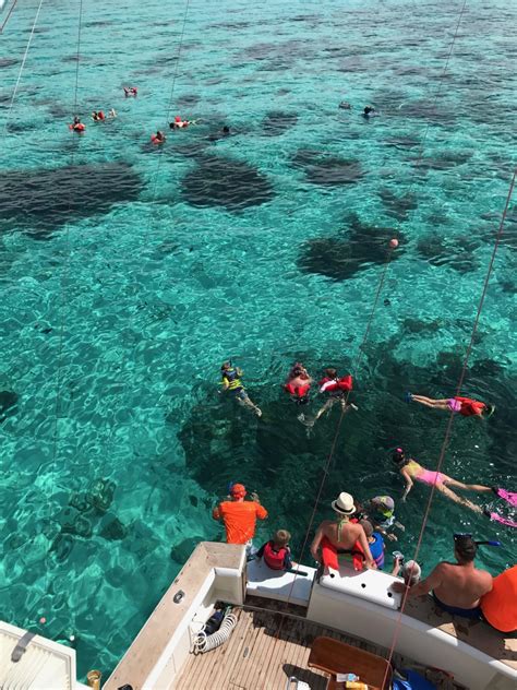 Exciting Snorkelling Tours In Grand Cayman Get Bent Charters