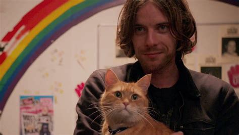 ‘a Street Cat Named Bob Film Review Hollywood Reporter