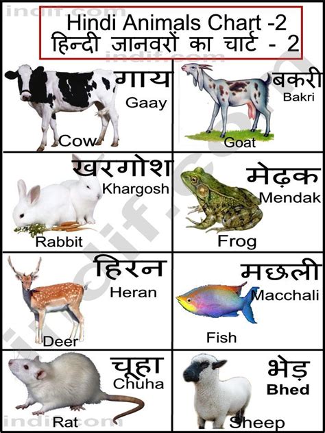 Pin By Shalini Bhadury On Hindi Animals Name Hindi Language Learning