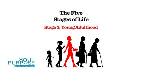 Soul Purpose The Five Stages Of Life Stage 3 Young Adulthood Youtube