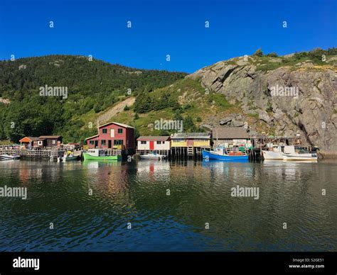 Fishing Village Quidi Vidi In Newfoundland Canada Stock Photo Alamy