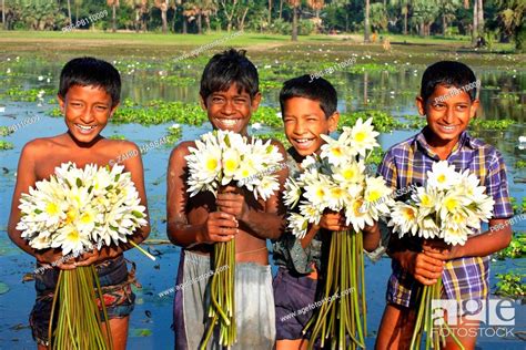 Children Hold Water Lily The National Flower Of Bangladesh From A