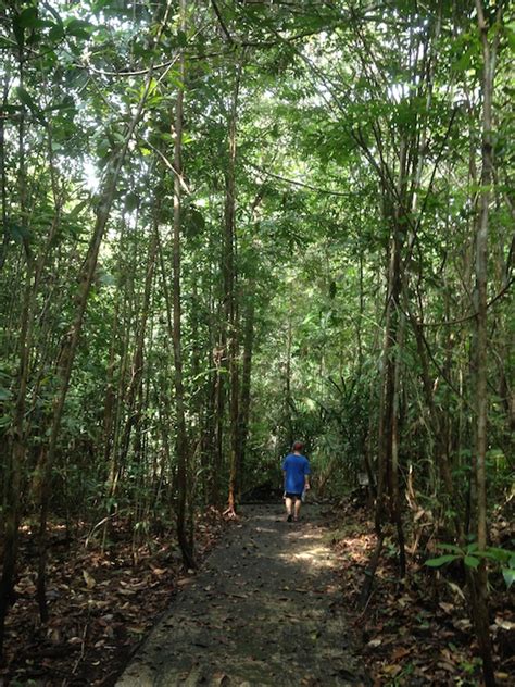 A Wandering Naturalist Sarawak A Visit To Matang