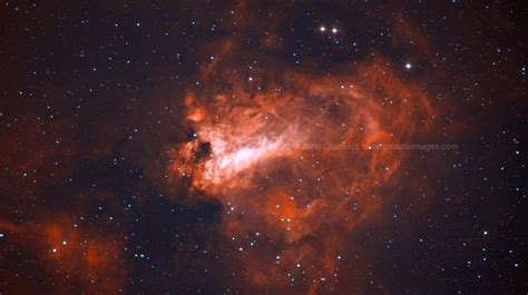 Nasas Moving Observatory Glances At The Famous Swan Nebula Webby Feed