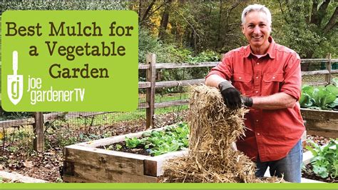 Best Mulch For A Vegetable Garden