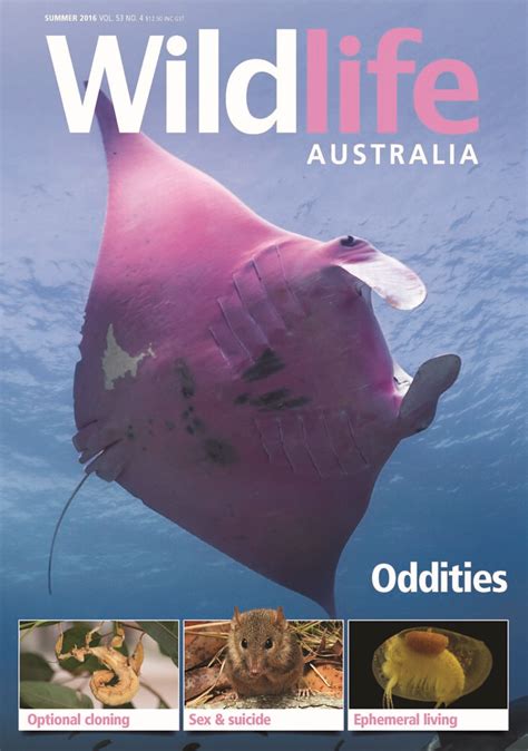Wildlife Australia Summer 2016 Main Cover Photo Of Inspect Flickr