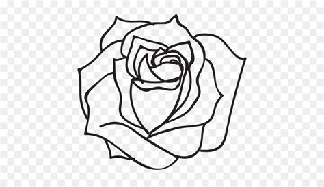 Rosa Desenho Preto E Branco Flor Rosa Desenho Preto E Branco Imagens