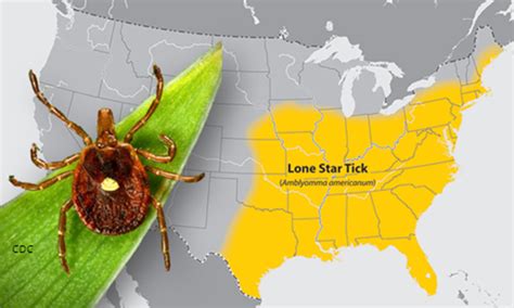 Ticks Can Spread Diseases Scdhec