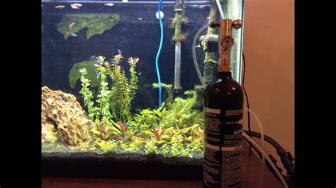 We did not find results for: DIY Paintball Aquarium Co2! - YouTube