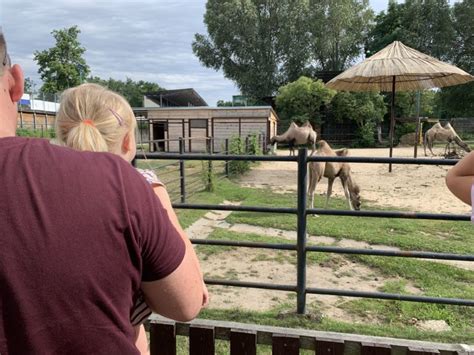 Hodonín zoo was created on the initiative of the former city national committee, chaired by emil schwarz. Tip na výlet: Očarujúca ZOO Hodonín (cenník, mapa aj video ...