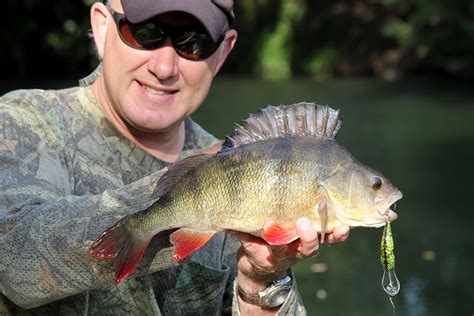 Sam Edmonds Fishing Blog: My first 4lb Perch on the Fly