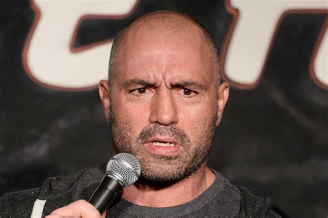 Joe Rogan Slammed Over Video Showing Podcast Guest Discussing Black