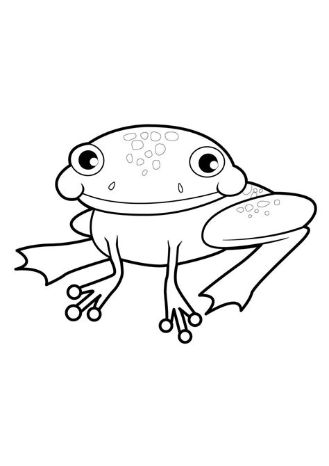 Grenouille 20 Coloriages Animaux Grenouilles