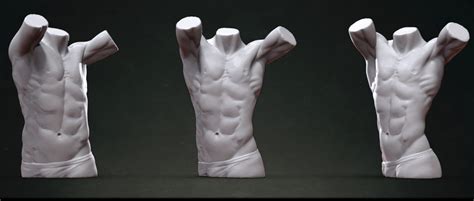 Artstation Male Torso Sculpt Resources