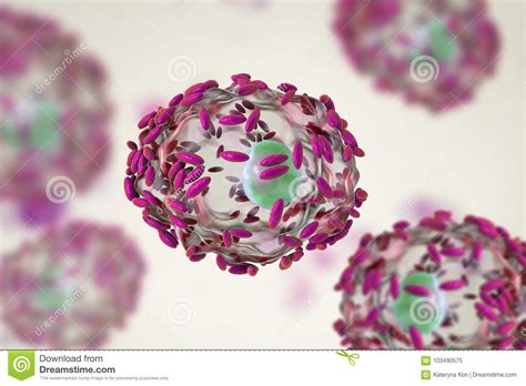 microscopic diagnosis of bacterial vaginosis epithelial cell so called clue cell is covered