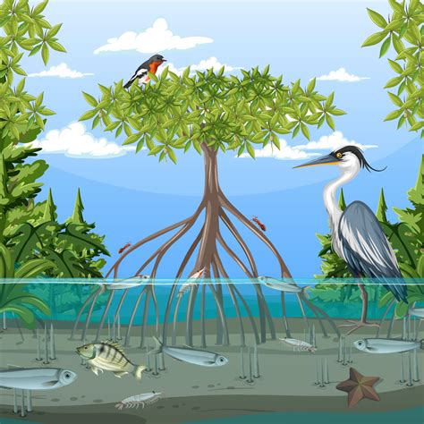 Mangrove Forest Scene At Daytime With Animals 2374959 Vector Art At