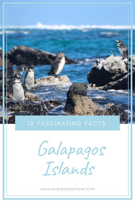 12 Fascinating Facts About The Galapagos Islands Simply Enjoy Travel